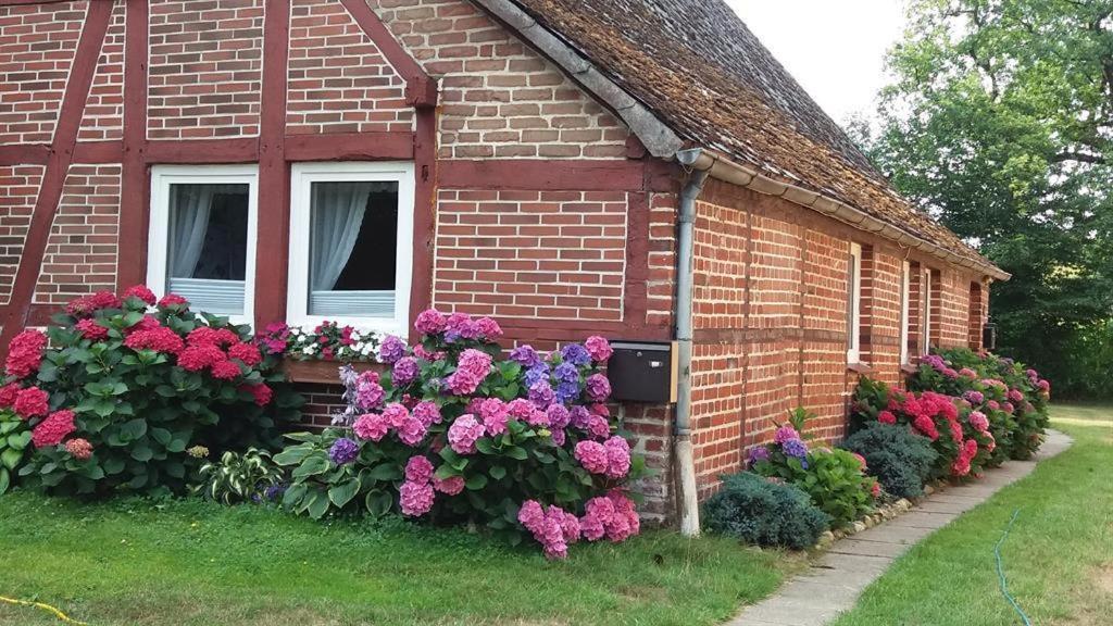Von Wiegen, Ferienwohnungen Schneverdingen Exteriér fotografie